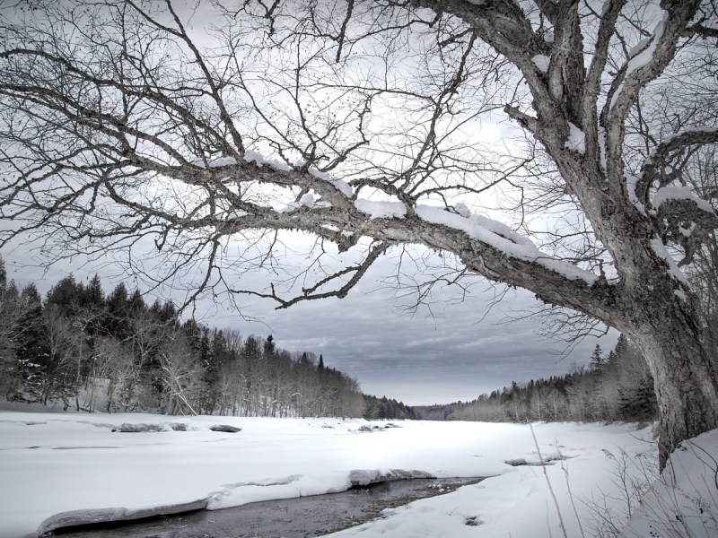 Immersions glaciales