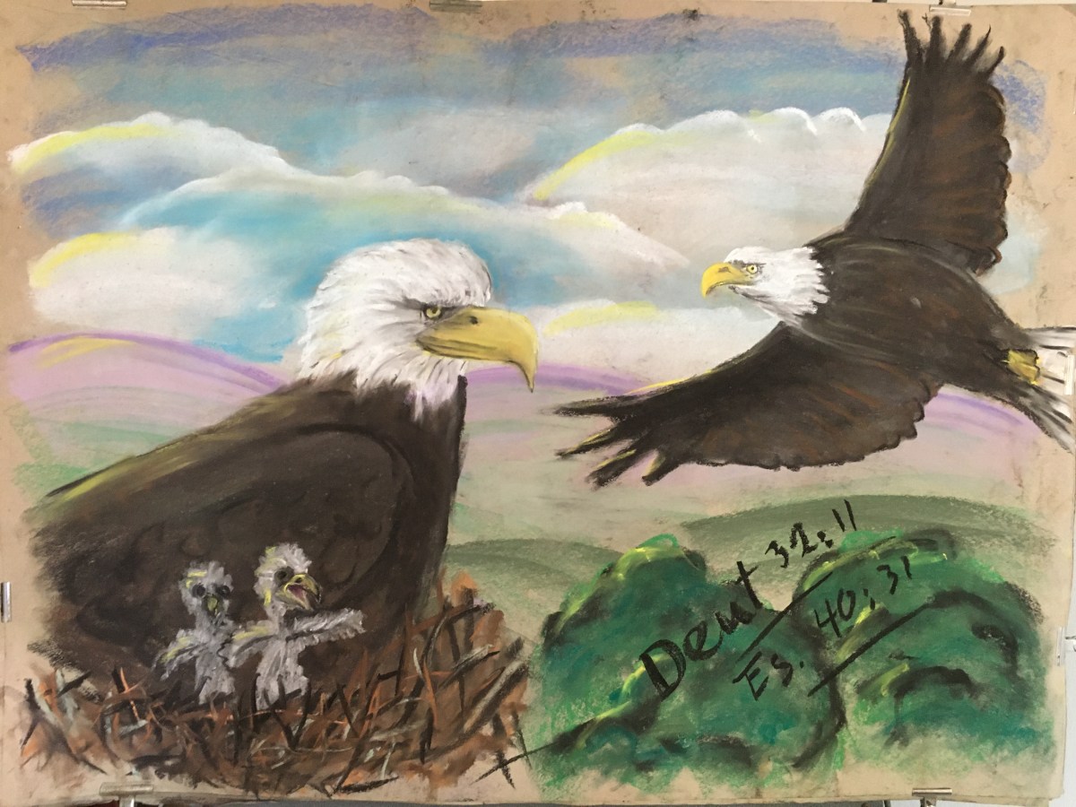 Evangile illustré — Comme&nbsp;l&rsquo;aigle