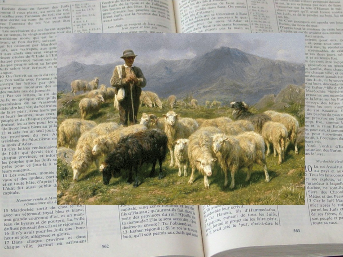 Message aux pasteurs — 1 Pierre&nbsp;5:1-4