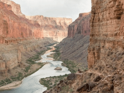 La sagesse de Dieu dans la création, 4) L&rsquo;IGNORANCE VOLONTAIRE DE LA THÉORIE DE L&rsquo;ÉVOLUTION.
