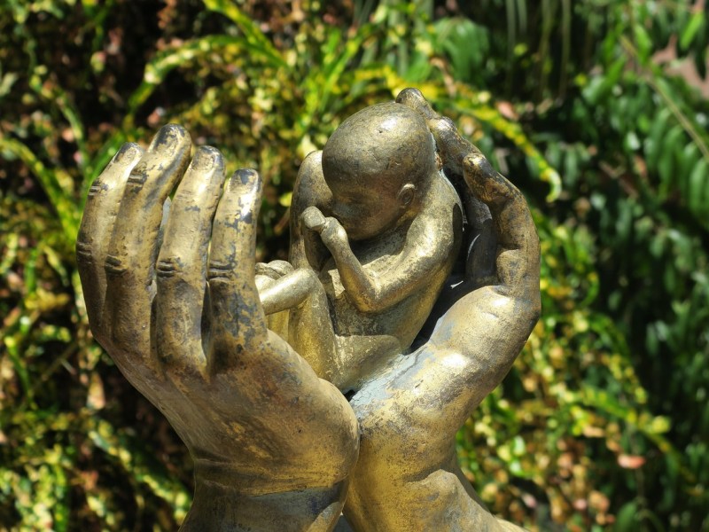 La sagesse de Dieu dans la création : 5) LES BONS FRUITS DE LA SAGESSE CRÉATIVE DE DIEU versus LES MAUVAIS FRUITS DU HASARD ET DE LA THÉORIE DE&nbsp;L’ÉVOLUTION…